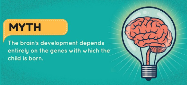 Brain Development in Early Childhood