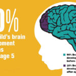 Importance of Brain Development in Early Childhood